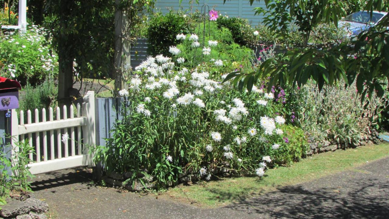 Cozy Haven - Waihi Apartment Екстериор снимка