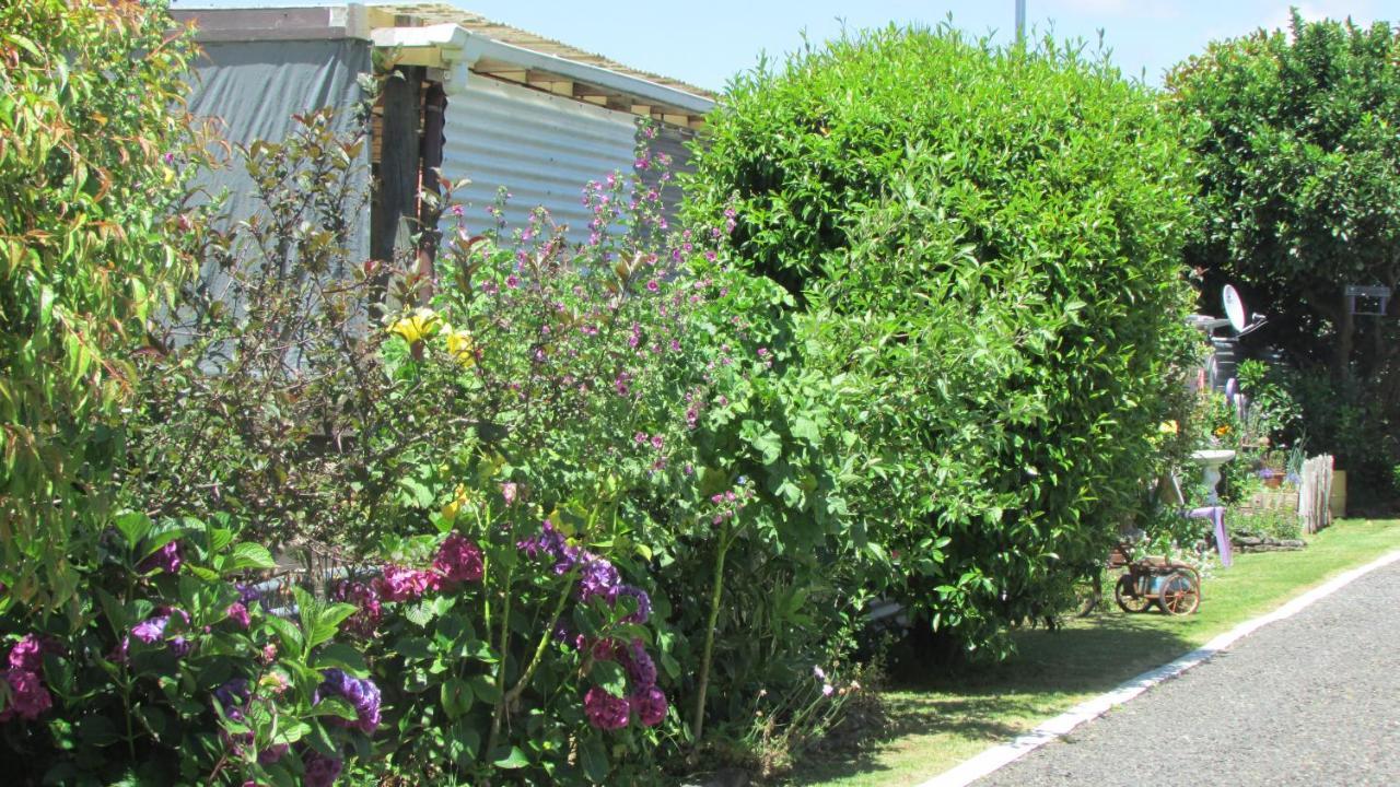 Cozy Haven - Waihi Apartment Екстериор снимка